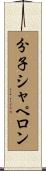 分子シャペロン Scroll