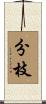 分枝 Scroll