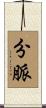 分脈 Scroll