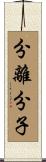 分離分子 Scroll