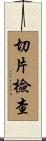 切片檢查 Scroll