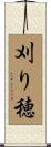 刈り穂 Scroll
