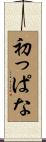 初っぱな Scroll