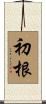初根 Scroll