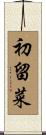 初留菜 Scroll