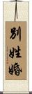 別姓婚 Scroll