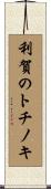 利賀のトチノキ Scroll