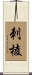 刺棱 Scroll