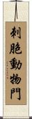 刺胞動物門 Scroll