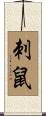 刺鼠 Scroll