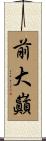 前大巓 Scroll