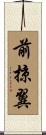前掠翼 Scroll