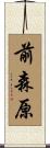 前森原 Scroll