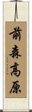 前森高原 Scroll