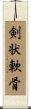 剣状軟骨 Scroll
