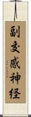 副交感神経 Scroll