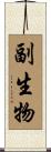 副生物 Scroll