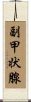 副甲状腺 Scroll