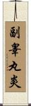 副睾丸炎 Scroll