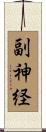 副神経 Scroll