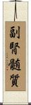 副腎髄質 Scroll