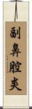 副鼻腔炎 Scroll