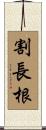 割長根 Scroll