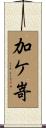 加ケ嵜 Scroll
