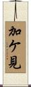 加ケ見 Scroll