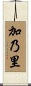 加乃里 Scroll