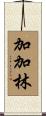 加加林 Scroll