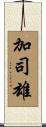 加司雄 Scroll