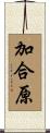 加合原 Scroll