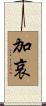 加哀 Scroll