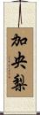 加央梨 Scroll