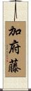 加府藤 Scroll