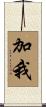 加我 Scroll