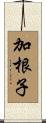 加根子 Scroll