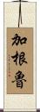 加根魯 Scroll