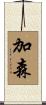 加森 Scroll