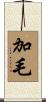 加毛 Scroll