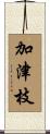 加津枝 Scroll