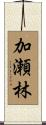 加瀬林 Scroll