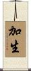 加生 Scroll