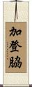 加登脇 Scroll
