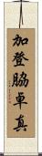 加登脇卓真 Scroll