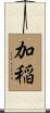 加稲 Scroll