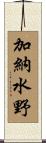 加納水野 Scroll