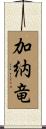 加納竜 Scroll