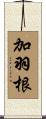 加羽根 Scroll